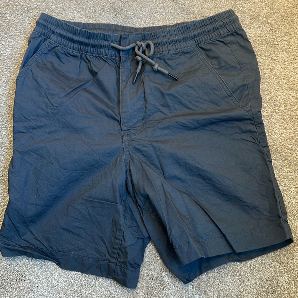 Patagonia Men's Charcoal Volley Shorts